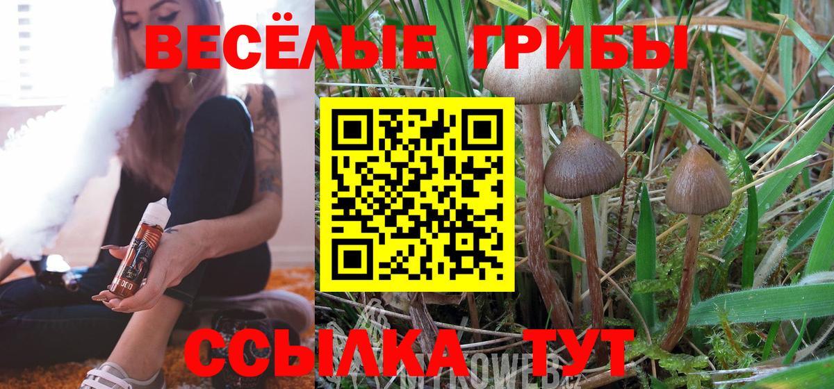 Галлюциногенные грибы GOLDEN TEACHER Менделеевск