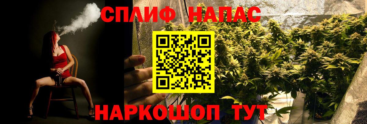 Канабис сатива Менделеевск
